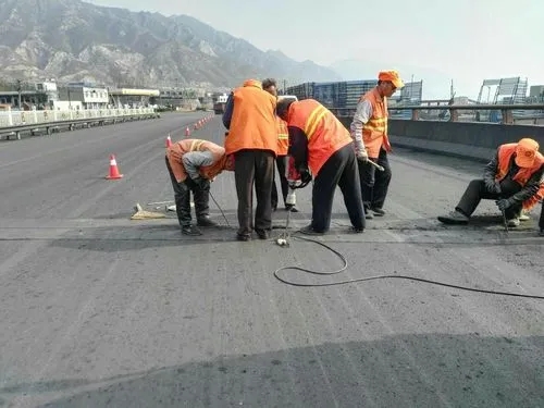 噶尔道路桥梁病害治理